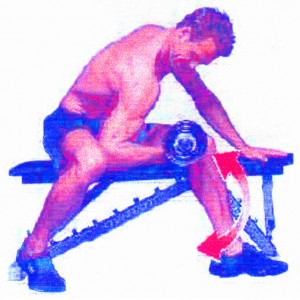 Klassischer Konzentrationscurl