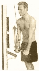 Trizepsdrücken am Kabelzug