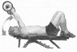 Trizepsdrücken mit der SZ-Stange