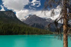 Frische Luft und atemberaubende Natur: Kanufahren bieten eine gelungene Kombination.
