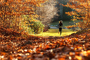 Sport an frischer Luft ist gerade im Herbst oft wunderschön.